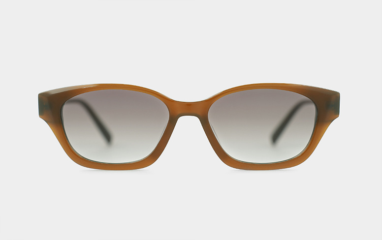 Horn RAPHA Col.3 Brown-Brown Gradation (1).jpg