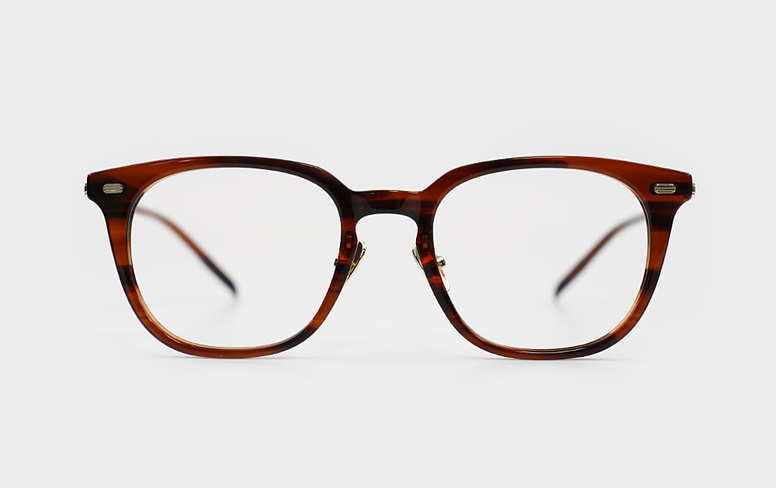 Union GABEE Col.4 Tortoise-Gold (1).jpg