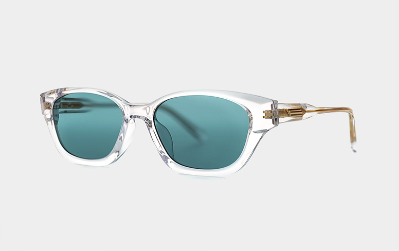 Horn RAPHA Col.6 Clear-Blue Tint (2).jpg
