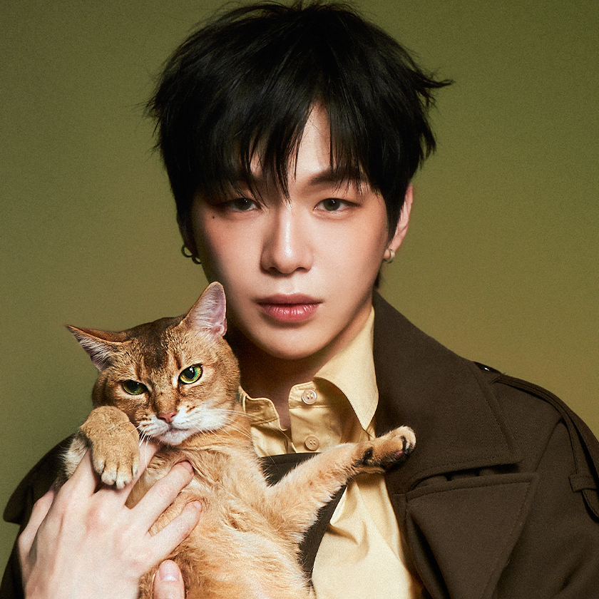 Meow-Lime.png