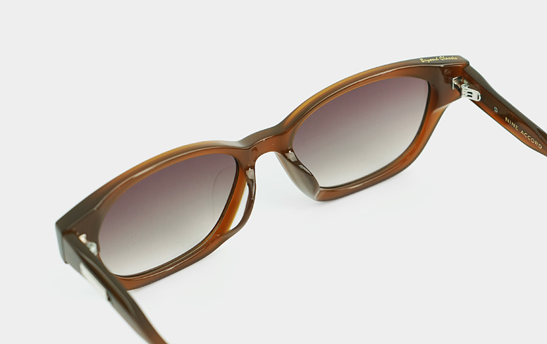 Horn RAPHA Col.3 Brown-Brown Gradation (4).jpg